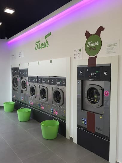 Fresh Laundry Can Vidalet