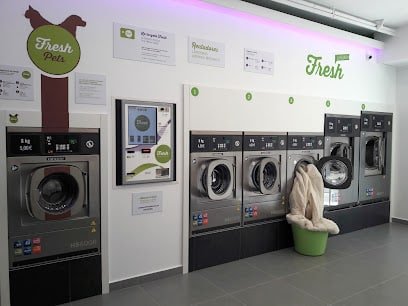 Fresh Laundry Sant Joan De Vilatorrada