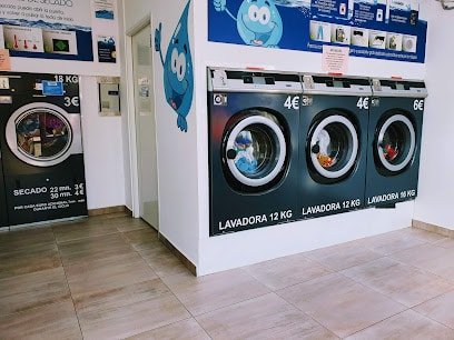 Lavandi Express Alcobendas