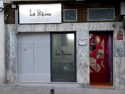 Tintorería Lavandería La Paloma